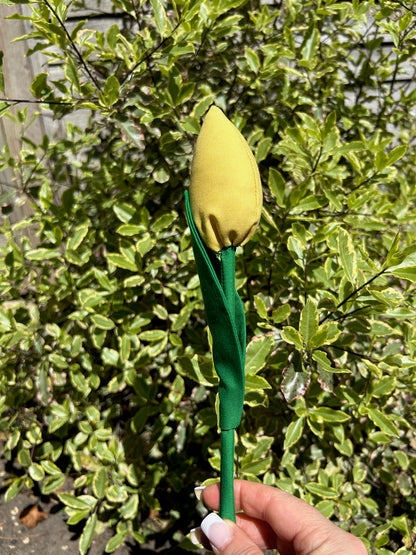 Fabric Flowers Kit